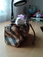 /album/merri/a2014-04-18-18-30-25-jpg/